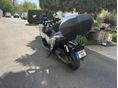 HONDA ADV 350 2023/6 - 3