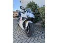 ZXMOTO 500 RR 2026/9 - 2