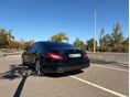MERCEDES-BENZ CLS 350 2013/9 - 6