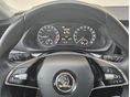 SKODA OCTAVIA 2023/8 - 16