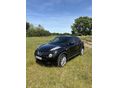 NISSAN JUKE 2013/1 - 3