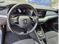SKODA OCTAVIA 2021/7 - 10