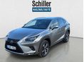 LEXUS NX 2021/8 - 2