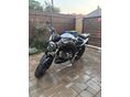 SUZUKI SV 650 N 2008 - 1