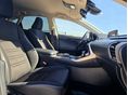 LEXUS NX 2020/9 - 10