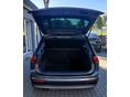 VOLKSWAGEN TIGUAN 2016/9 - 8