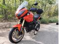 TRIUMPH TIGER 1050 ABS 2010/5 - 5