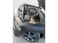 DODGE CHARGER 2007/6 - 5