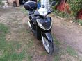 HONDA SH 125 2008/2 - 2