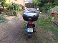 HONDA SH 125 2008/2 - 3