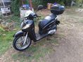 HONDA SH 125 2008/2 - 8