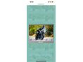 BMW F 650 GS 2011/6 - 2