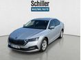 SKODA OCTAVIA 2023/5 - 2