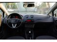 SEAT IBIZA 2010/3 - 9