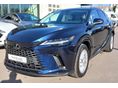 LEXUS RX 2023/11 - 2