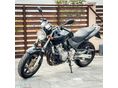 HONDA CB 600 F (HORNET) 2002/5 - 1