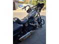 HARLEY-DAVIDSON FAT BOB 2016/2 - 3