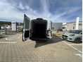 FORD TRANSIT 2025 - 5