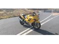 SUZUKI GSX 600 F 2002/5 - 2