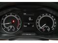 SKODA KAMIQ 2022/8 - 8