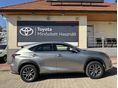 LEXUS NX 2019/4 - 2