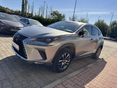LEXUS NX 2019/4 - 4