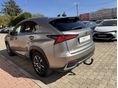 LEXUS NX 2019/4 - 5