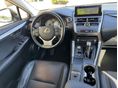 LEXUS NX 2019/4 - 7