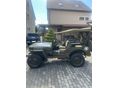 JEEP WILLYS 