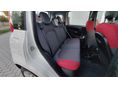 FIAT PANDA 2014/1 - 10