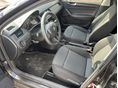 SKODA RAPID 2019/3 - 8