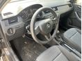 SKODA RAPID 2019/3 - 9