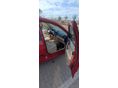 VOLKSWAGEN POLO IV 2004/5 - 5
