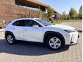 LEXUS UX 250h Comfort 4WD CVT