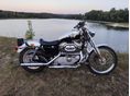 HARLEY-DAVIDSON SPORTSTER 883 2003/6 - 1