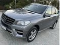 MERCEDES-BENZ ML 250 2012/2 - 5
