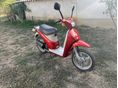 PIAGGIO FREE 50 1994/6 - 2