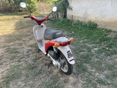 PIAGGIO FREE 50 1994/6 - 5