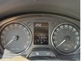 SKODA RAPID 2014/5 - 8