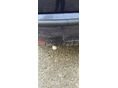 FORD FOCUS 2002/5 - 6