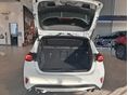 FORD FOCUS 2025/6 - 12
