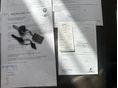 BMW R 1200 R 2008 - 16