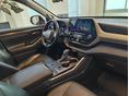 TOYOTA HIGHLANDER 2021/8 - 8
