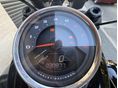 HARLEY-DAVIDSON FAT BOB 2021/5 - 4