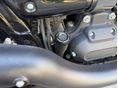 HARLEY-DAVIDSON FAT BOB 2021/5 - 8