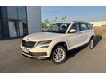 SKODA KODIAQ 2021/2 - 1