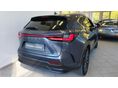 LEXUS NX 2024/8 - 4