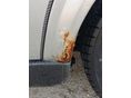 OPEL ASTRA G 2003/6 - 6