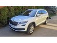 SKODA KODIAQ 2019/10 - 1