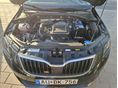 SKODA OCTAVIA 2017/3 - 9